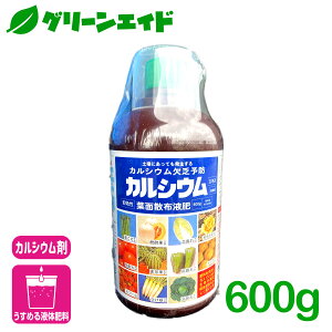 JVE⋋ JVEGLX 600g A~m[w g}g K \h ƒ؉  | K[fjO Z[