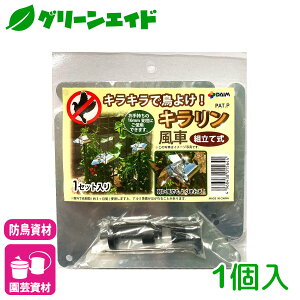 hObY L 16MMp rj[ Q  ƒ؉ | Z[