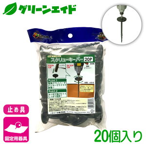 _{ISi|Cg3{Ly[{I^Œ XN[L[p[ 20{ rj[ hV[g }` G΍V[g Œ ƒ؉ | K[fjO  |pi _