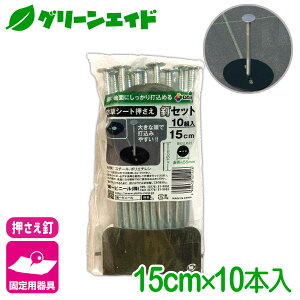 Œ hV[gBZbg 15CM 10 rj[ hV[g }` G΍V[g Œ ƒ؉ | K[fjO  |pi _Ɨp _Ǝ Z[