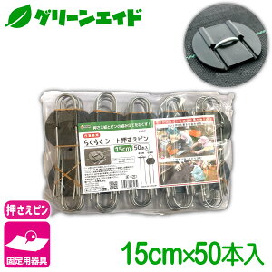 _JÁI撅5%OFFN[|sI^Œ 炭炭V[gs 15CM 50{ rj[ hV[g }` G΍V[g Œ ƒ؉ | K[fjO  |pi _