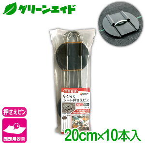 Œ 炭炭V[gs 20CM 10{ rj[ hV[g }` G΍V[g Œ ƒ؉ | K[fjO  |pi _Ɨp _Ǝ Z[