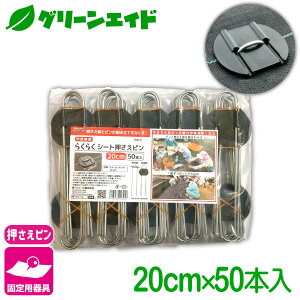 _JÁI撅5%OFFN[|sI^Œ 炭炭V[gs 20CM 50{ rj[ hV[g }` G΍V[g Œ ƒ؉ | K[fjO  |pi _