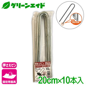 _{ISi|Cg5{Ly[{I^Œ Us 20CM 10{ rj[ hV[g }` G΍V[g lbg Œ ƒ؉ | K[fjO  |pi _