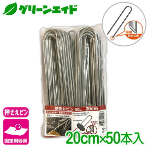 _{ISi|Cg3{Ly[{I^Œ Us 20CM 50{ rj[ hV[g }` G΍V[g lbg Œ ƒ؉ | K[fjO  |pi _