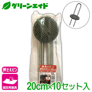 _JÁISi|Cg3{Ly[{\I^Œ UsZbg 20CM 10 rj[ hV[g }` G΍V[g lbg Œ ƒ؉ | K[fjO 