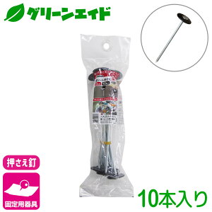 _{ISi|Cg5{Ly[{I^Œ hV[g yB 20CM 10{ rj[ hV[g }` G΍V[g Œ ƒ؉ | K[fjO  |p