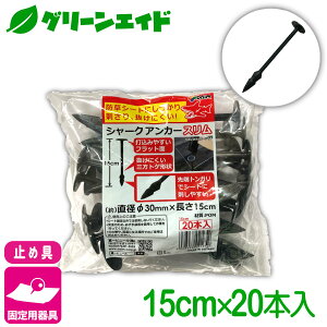 _{ISi|Cg5{Ly[{I^Œ V[NAJ[X 20{ rj[ hV[g }` G΍V[g Œ ƒ؉ | K[fjO  |pi 