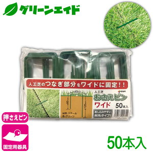 _{ISi|Cg3{Ly[{I^lH Œ lHŉsCh 50{ rj[ hV[g }` G΍V[g Œ ƒ؉ | K[fjO  