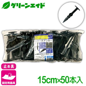 _JÁI撅5%OFFN[|sI^Œ V[NAJ[ 15CM 50{ rj[ hV[g }` G΍V[g Œ ƒ؉ | K[fjO  |pi _Ɨp