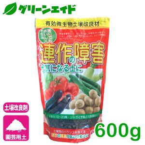 yǍ ȀQCɂȂy 600g a AQ | ƒ؉ K[fjO