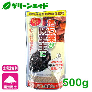 _{܂ŁISi|Cg10{Ly[{I^͂t ty tty 500g a | K[fjO rMi[ SҌ Z[