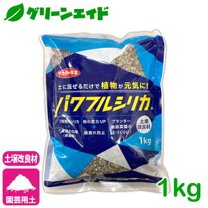 yǍ VJ ptVJ 1kg TJ^̃^l | ϗtA T{e A K[fjO PCf ]_y ~I \tgVJ Z[