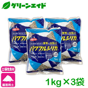 _{ISi|Cg5{Ly[{I^3܃Zbg yǍ VJ ptVJ 1kg×3 TJ^̃^l | ϗtA T{e A K[fjO PCf ]_y 