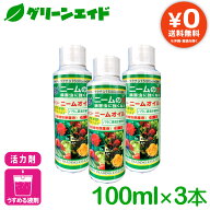 ＼9/19(土)20時開始！エントリーでP5&先着限定最大5%OFFクーポン発行中！／【送料無料】 まとめ買い 3本…