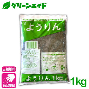 _JÁI撅5%OFFN[|sI^엿 悤 1KG o ӎ_ ]_ y ΊD  ƒ؉ _ | Z[