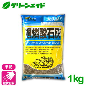  ǔ ߗӎ_ΊD 1KG _ 엿  ƒ؉ _ | Z[