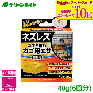 _9/4()20Jn!Gg[P10{&Ώ500iȏ10%OFFI^lY~ U lYXlY~߂JSpGT 40g(6) C{[i ߊl 쏜 a Z[