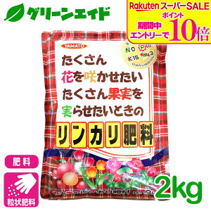 _ԌIGg[P10{&Ώ500iȏ10%OFFI^엿  J엿 2kg }gR[|[V  ʎ | K[fjO rMi[ SҌ Z[
