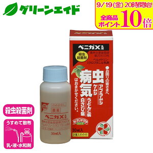 _9/19()20JnISi|Cg10{Ly[{\I^E Eۍ xjJX 30ml ZFw| aC  K[fjO | AuV ǂ񂱕a