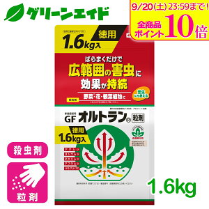 _{܂ŁISi|Cg10{Ly[{I^E Ig 1.6kg ZFw|    ƒ؉ | K[fjO