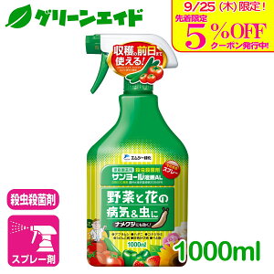 _{I撅5%OFFN[|sI^ EEۍ T[tAL 1000ML GV[Ή ƒ؉ | K[fjO SҌ rMi[ Z[