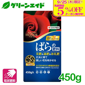 _{I撅5%OFFN[|sI^o@엿 }C[Y ΂̔엿 450G ZFw|  K[fjO |  ǔ