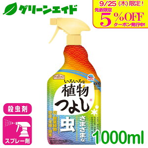 _{I撅5%OFFN[|sI^E 낢ȐA悵 1000ML A[X   ʎ  ϗtA | SҌ rMi[ Z[