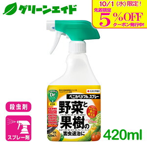 _{I撅5%OFFN[|sI^E  ʎ xjJxWtXv[ 420ml ZFw| ƒ؉ ʕ | K[fjO rMi[ SҌ