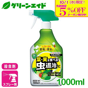 _{I撅5%OFFN[|sI^E xjJAXv[ 1000ml ZFw| ƒ؉   ʕ ʎ ϗtA PV gEV | K[fjO Z[