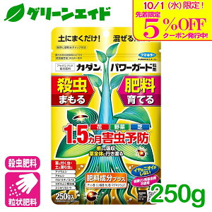 _{I撅5%OFFN[|sI^엿 E p[K[h 250G t}L[  ƒ؉    AuV | K[fjO SҌ rMi[