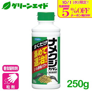 _{I撅5%OFFN[|sI^iNW E iNWJ_ UE 250g t}L[ 쏜 ގ  | K[fjO Z[