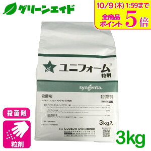 _Xg24hISi|Cg5{Ly[{I^Eۍ jtH[ 3kg VWF^Wp a ͕a c͕a   哤 E _ _