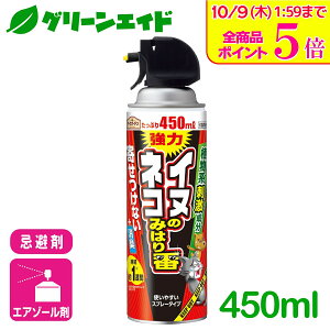 _Xg24hISi|Cg5{Ly[{I^L  CkElR݂̂͂ԃXv[ 450ml A[X L AR Xv[ Nh~ Z[