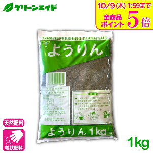 _Xg24hISi|Cg5{Ly[{I^엿 悤 1KG o ӎ_ ]_ y ΊD  ƒ؉ _ | Z[
