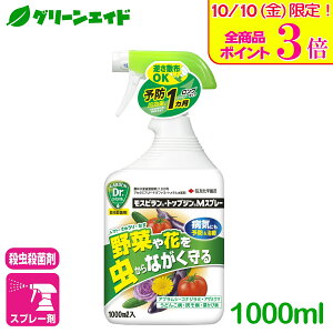 _{ISi|Cg3{Ly[{I^AuV E XsgbvWMXv[ 1000ml ZFw| Eۍ aC  ƒ뉀| |  Z[