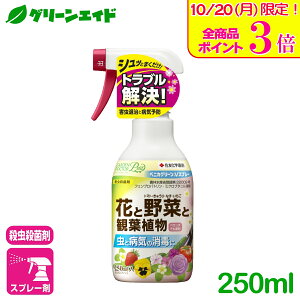 _JÁISi|Cg3{Ly[{\I^ϗtA@E xjJO[VXv[ 250ml ZFw| Eۍ aC  K[fjO | rMi[ SҌ Z[