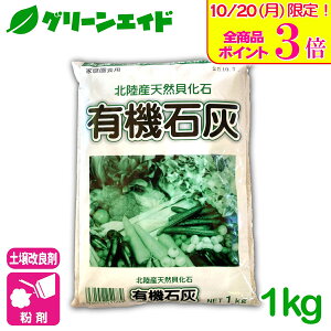 _JÁISi|Cg3{Ly[{\I^y L@ΊD 1KG ΊD pH  엿  ƒ؉ _ | Z[