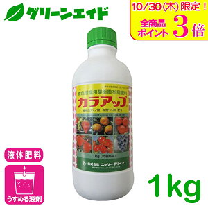 _{ISi|Cg3{Ly[{I^t̔엿 JAbv 1KG jb\[O[ tʎUz 엿 Fi xi i A~m_ tB`_ ʗvf ʎ 