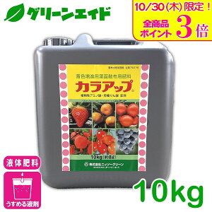 _{ISi|Cg3{Ly[{I^t̔엿 JAbv 10KG jb\[O[ tʎUz 엿 Fi xi i A~m_ tB`_ ʗvf ʎ 