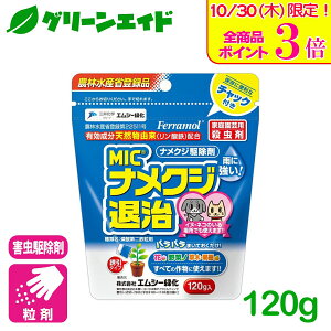 _{ISi|Cg3{Ly[{I^iNW E iNWގ 120G GV[Ή ƒ؉ | K[fjO SҌ rMi[