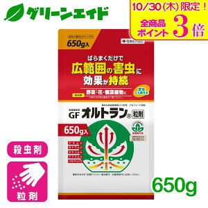 \本日限定!全品ポイント3倍キャンペーン実施中!/殺虫剤 オルトラン粒剤 650g 住友化学園芸 定番 野菜 草花 家庭菜園 園芸 ガーデニング