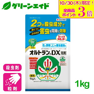 _{ISi|Cg3{Ly[{I^E IgDX 1kg ZFw|   ƒ؉ | AuV