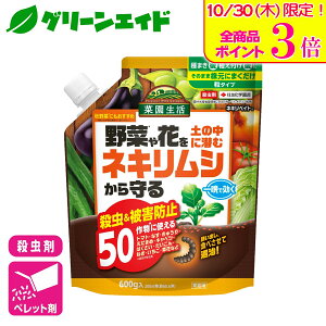 _{ISi|Cg3{Ly[{I^lLV E lLxCg 600g ZFw|  ƒ뉀| | Q