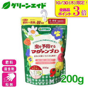 _{ISi|Cg3{Ly[{I^엿 E \h}OAvD 200g nC|lbNX   ϗtA ƒ؉ | K[fjO SҌ rMi[