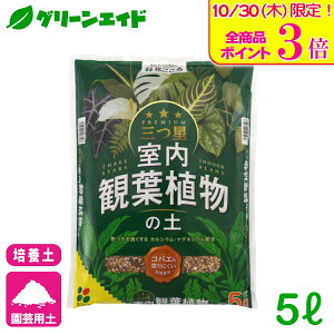 _{ISi|Cg3{Ly[{I^|{y O ϗtA̓y 5L Ԃ ϗtA | h~ ʋC r