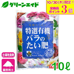 _{ISi|Cg3{Ly[{I^o ͔ IL@ô 10L Ԃ | K[fjO rMi[ SҌ Z[