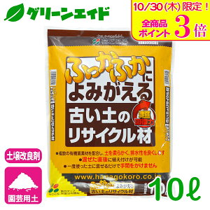 _{ISi|Cg3{Ly[{I^yǍ ÂỹTCN 10L Ԃ K[fjO | rMi[ SҌ Z[