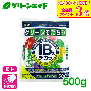 \本日限定!全品ポイント3倍キャンペーン実施中!/肥料 定番 グリーンそだちEX IBのチカラ 500g 花ごころ ガーデニング 園芸 鉢花 草花 観葉植物 ビギナー向け 初心者向け