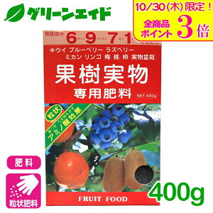 _{ISi|Cg3{Ly[{I^ʎ 엿 ʎp엿 400g A~m[w ʎ ʕ A~m_ | K[fjO SҌ rMi[